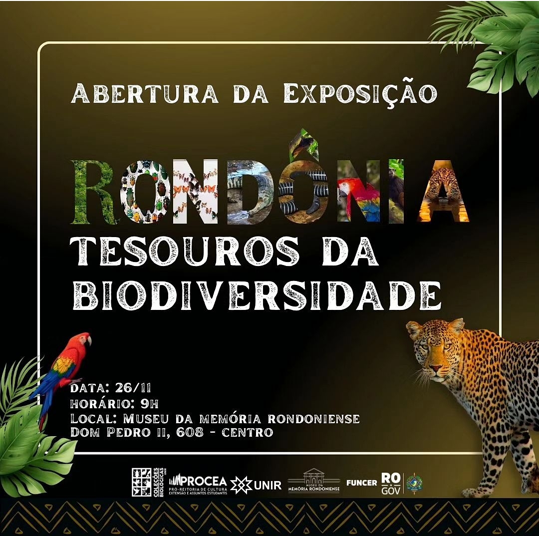 Exposição banner