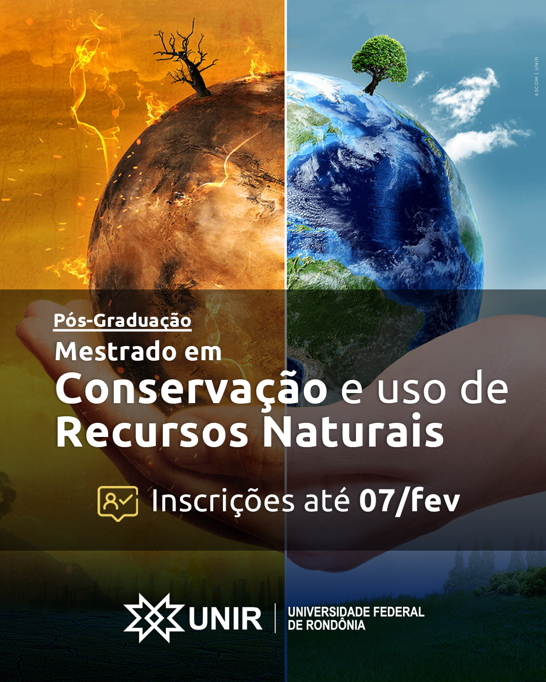 FEED (6)